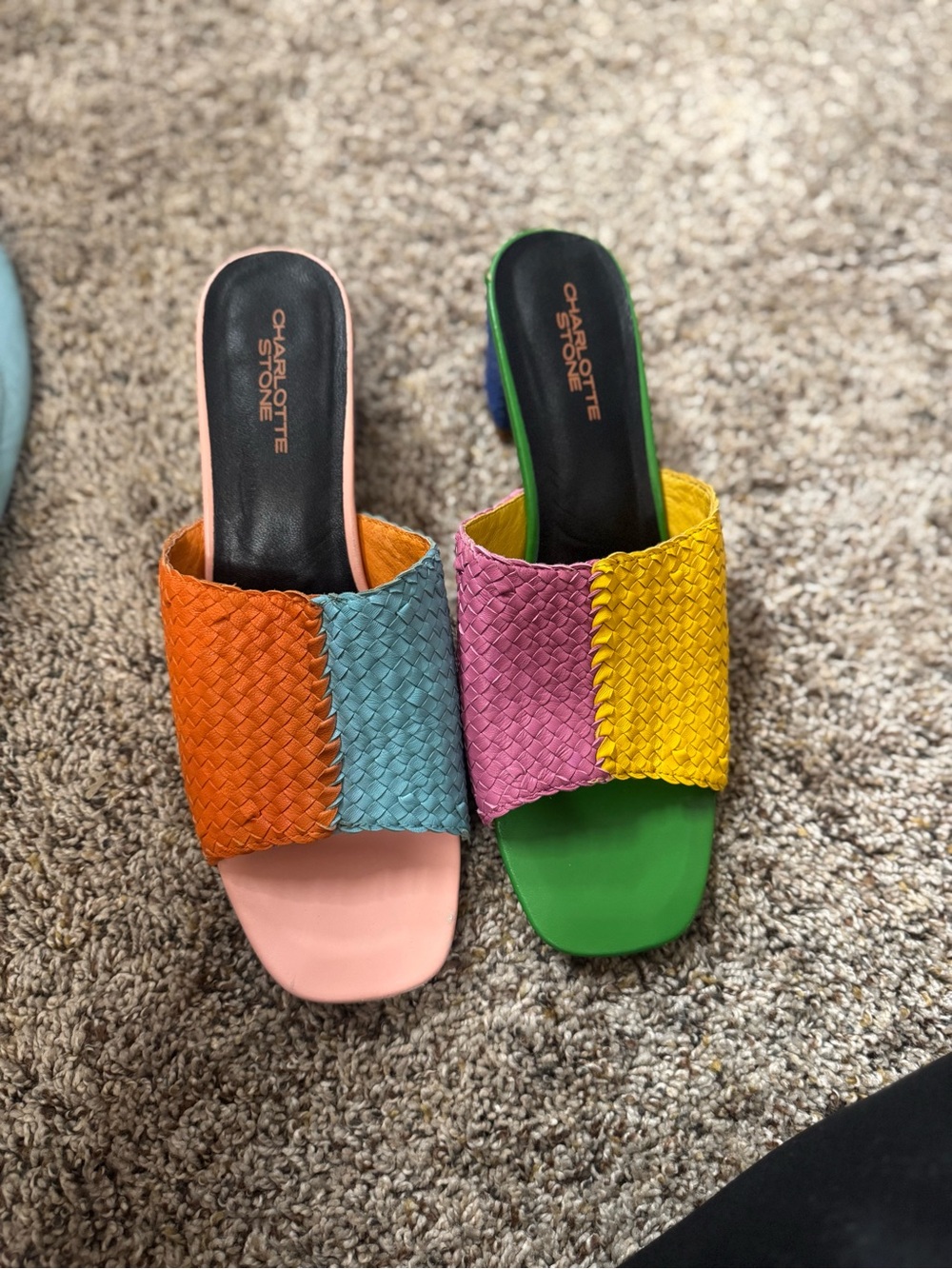 Charlotte Stone Lenu Mismatch Woven Mule heel